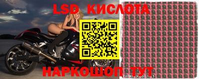 молекула духа Тверь