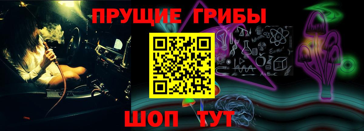 Галлюциногенные грибы мицелий  Псилоцибиновые грибы мицелий  где купить наркотик  Петрозаводск  Вход с VPN 